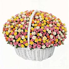 Премиум букет из: Розы в Сорочинске