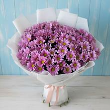 Букет цветов из:  Хризантемы #REPLACE_PRED# Сорочинске