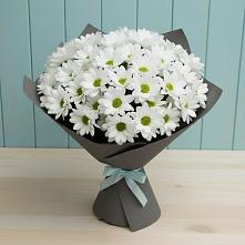 Букет цветов из:  Хризантемы в Сорочинске