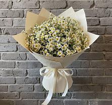 Букет цветов из:  Ромашки #REPLACE_PRED# Сорочинске