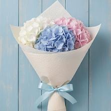 Букет цветов из:  Гортензия в Сорочинске