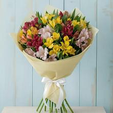 Букет цветов из:  Альстромерии в Сорочинске