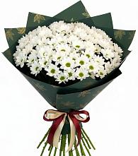 Букет цветов из:  Хризантемы #REPLACE_PRED# Сорочинске