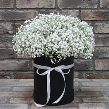 Цветочная композиция из Гипсофила в шляпной коробке в Сорочинске