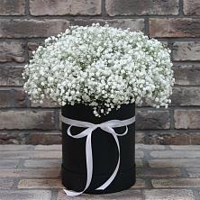 Цветочная композиция из Гипсофила в шляпной коробке в Сорочинске