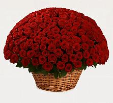 Премиум букет из: Розы в Сорочинске