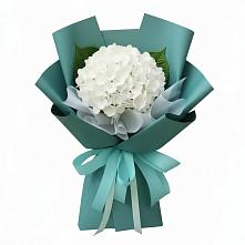 Букет цветов из:  Гортензия #REPLACE_PRED# Сорочинске